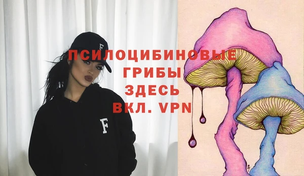 амф Володарск