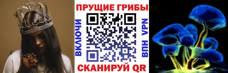 Галлюциногенные грибы MAGIC MUSHROOMS  MEGA ссылка  Улан-Удэ 